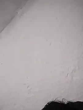 cocodrilo213 live