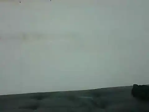 AlbertBigCock live