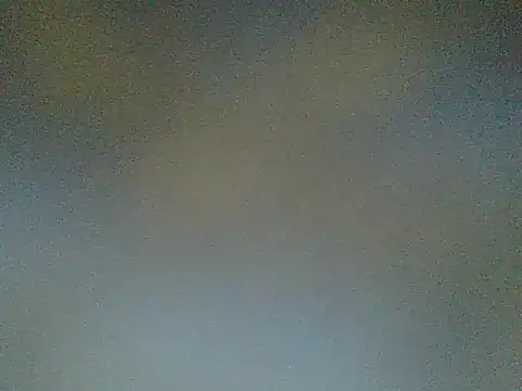 wildfoxG live