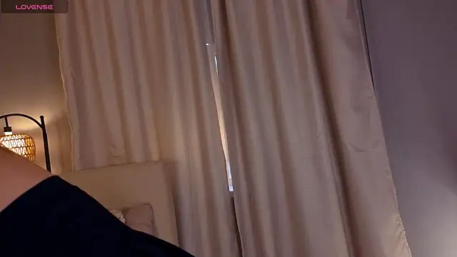 LollaStich live