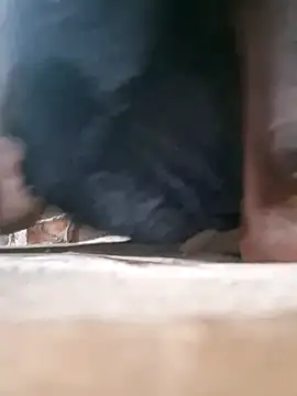 sunny_dy live