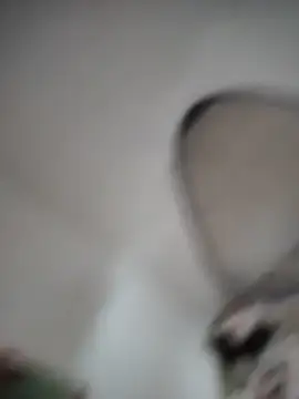 Rajkamal13 live