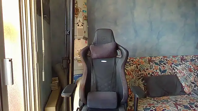 panda_06200 live