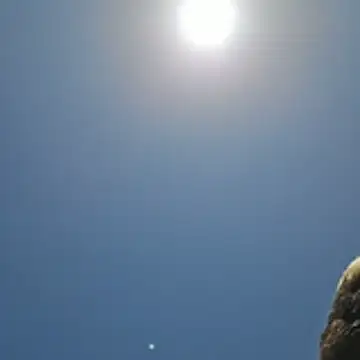 Trucker_Hunter profile