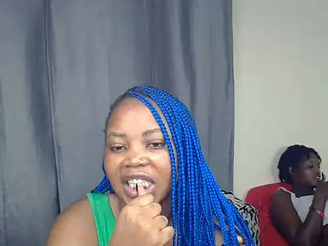 Petit_haris live