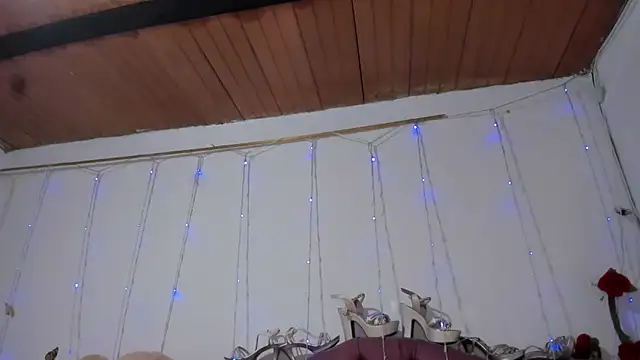 Dana_Jeins live