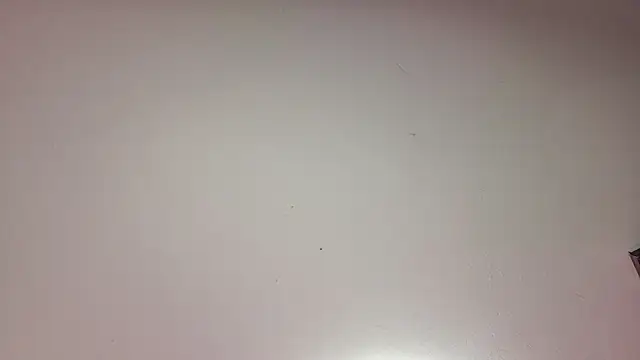 IrisBeel_ live