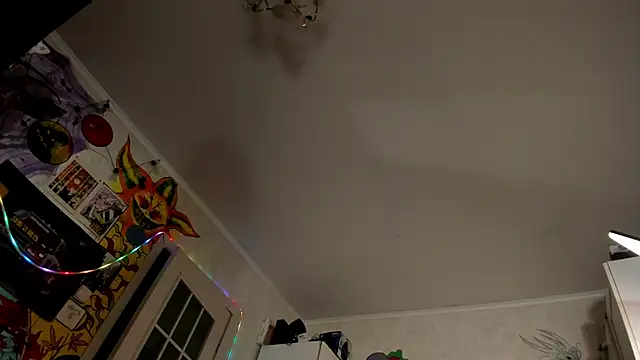 Sunny_Mouse_ live