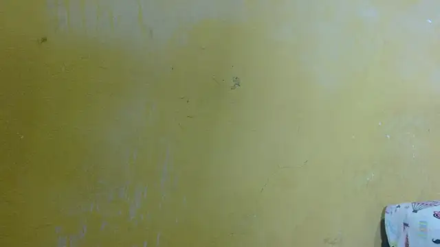 MissBrownii live