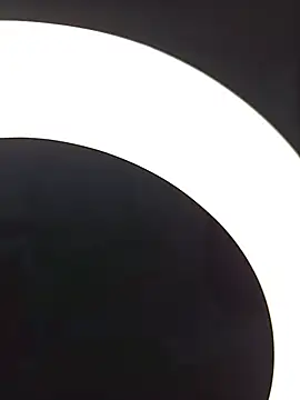 SlBrownCopule live