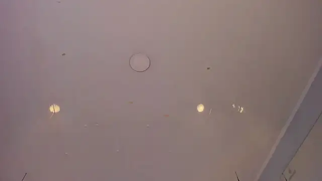 sakura_Gomez live