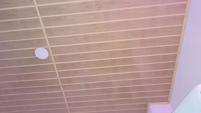miia_thompson1 live