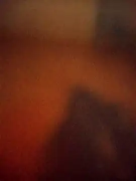leenblessx live