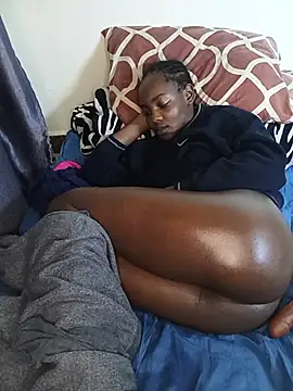 xbella32 live