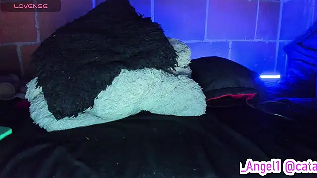 Cata-angel live