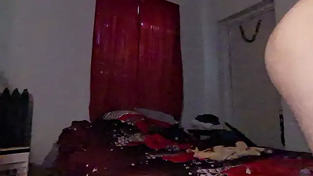 pantslesstraveler_plt live