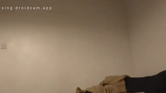 Semilobon1 live