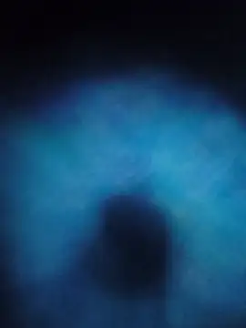 Fuckboyguyman live