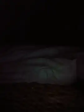 MoJanky live