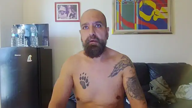AMIRDIB2025 live