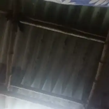 nilimasen live