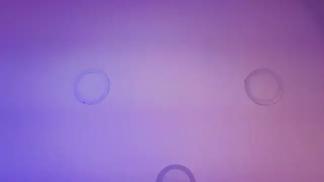 Violetta_rose_ live