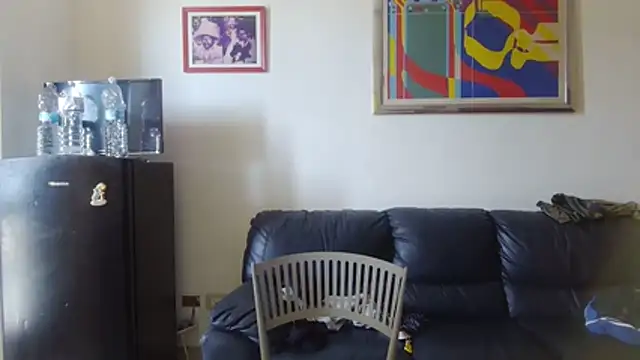 AMIRDIB2025 live