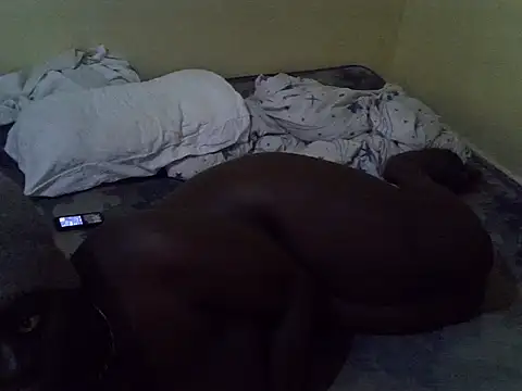 poojr2 live