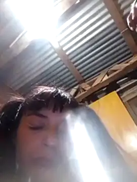 Shaiel24 live