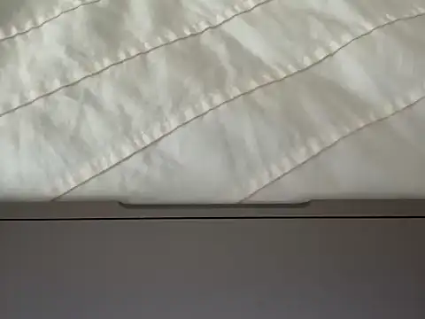 lotusannie99 live