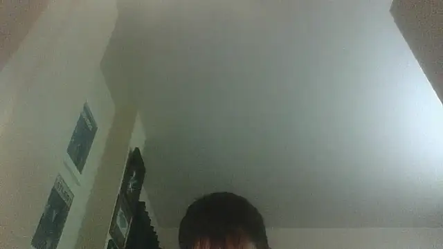 2flimsy live