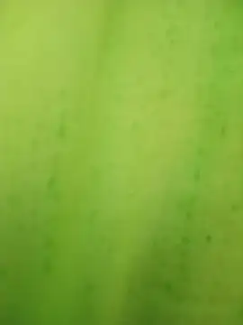 falgunimanna live