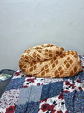 rohit_punjab live