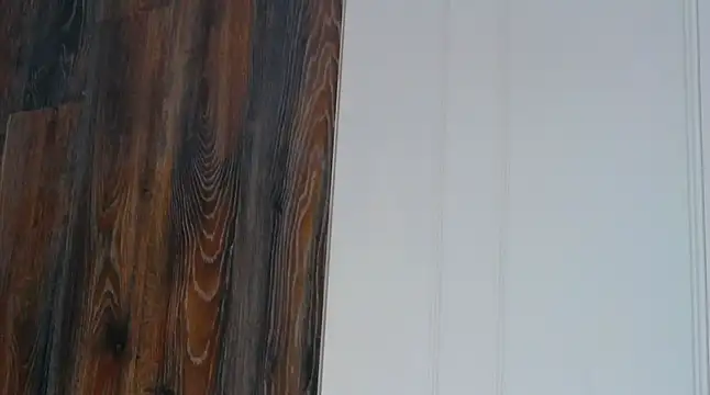 IvyLustt live