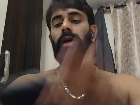 indianhairybull live