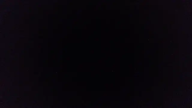 pinkycat live