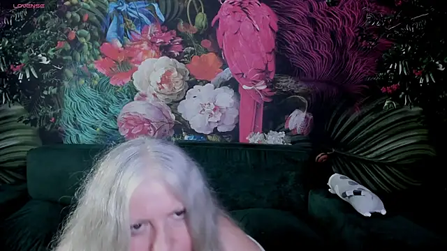 mariabelladonna live