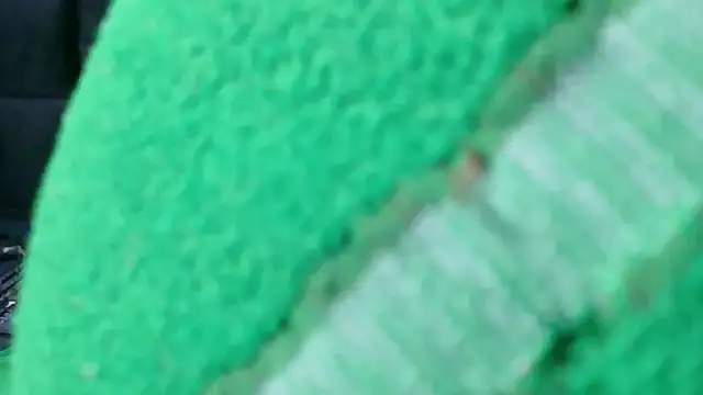 missfoster live