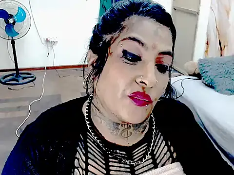 Indiancatz2 live