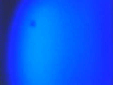SexyHenesy live
