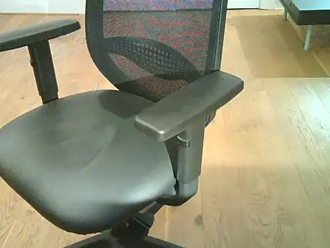 stallionrider88 live