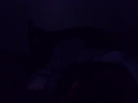 poojr2 live