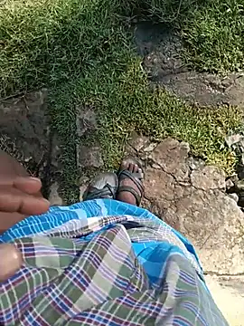 dolphiinn live