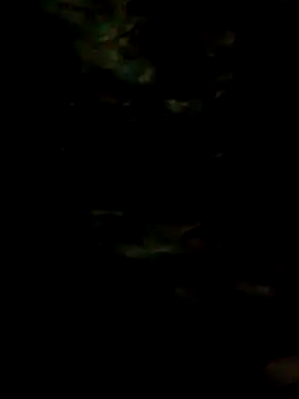 FeloBad live