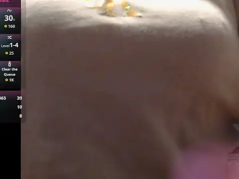 Wild_funtasy live