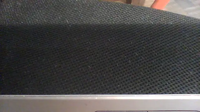ludowrss live