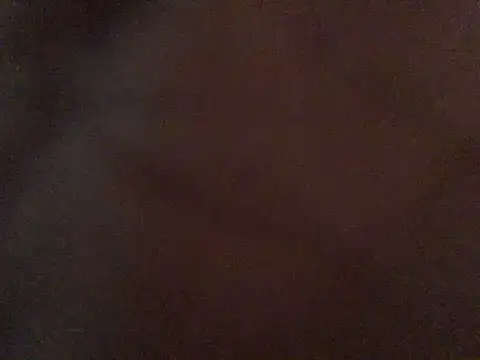 Bigtoyaddict live