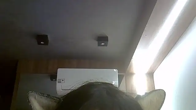 SkinnyKitten live