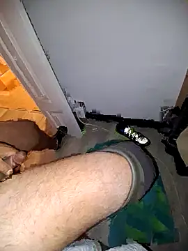 bojo69 live