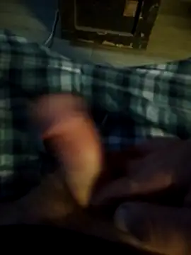 lekkerpeet live